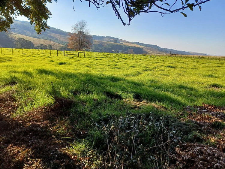 Property 283765 - Image 9