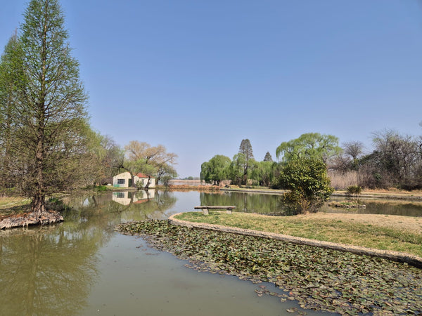 Property 2880129 - Image 42