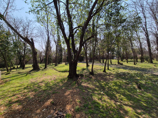 Property 2880129 - Image 55