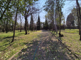 Property 2880129 - Image 58