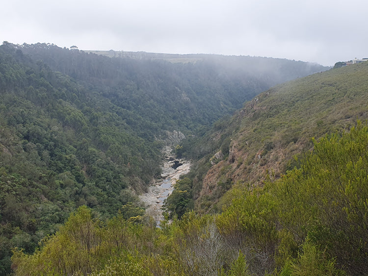 Property 2888223 - Image 1