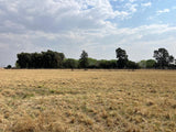Property 2895242 - Image 1
