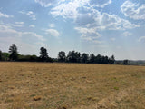 Property 2895242 - Image 11