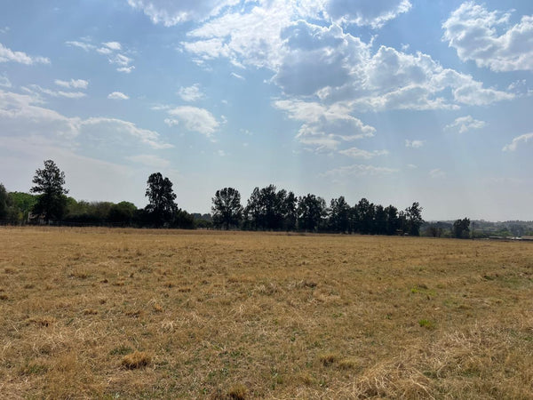 Property 2895242 - Image 11