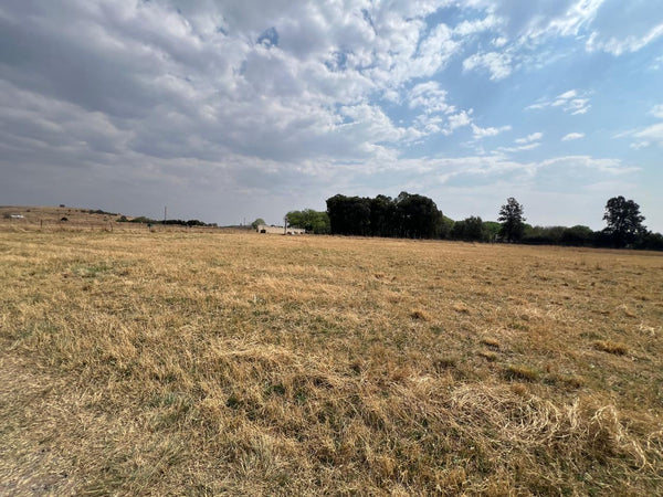Property 2895242 - Image 12