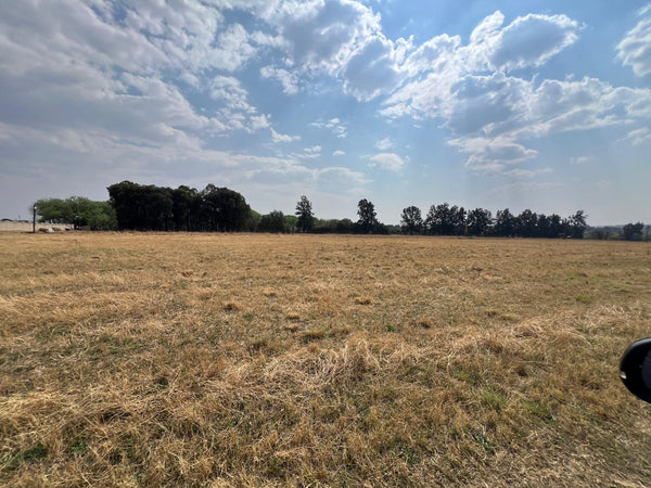 Property 2895242 - Image 13