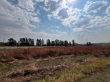 Property 2895242 - Image 3