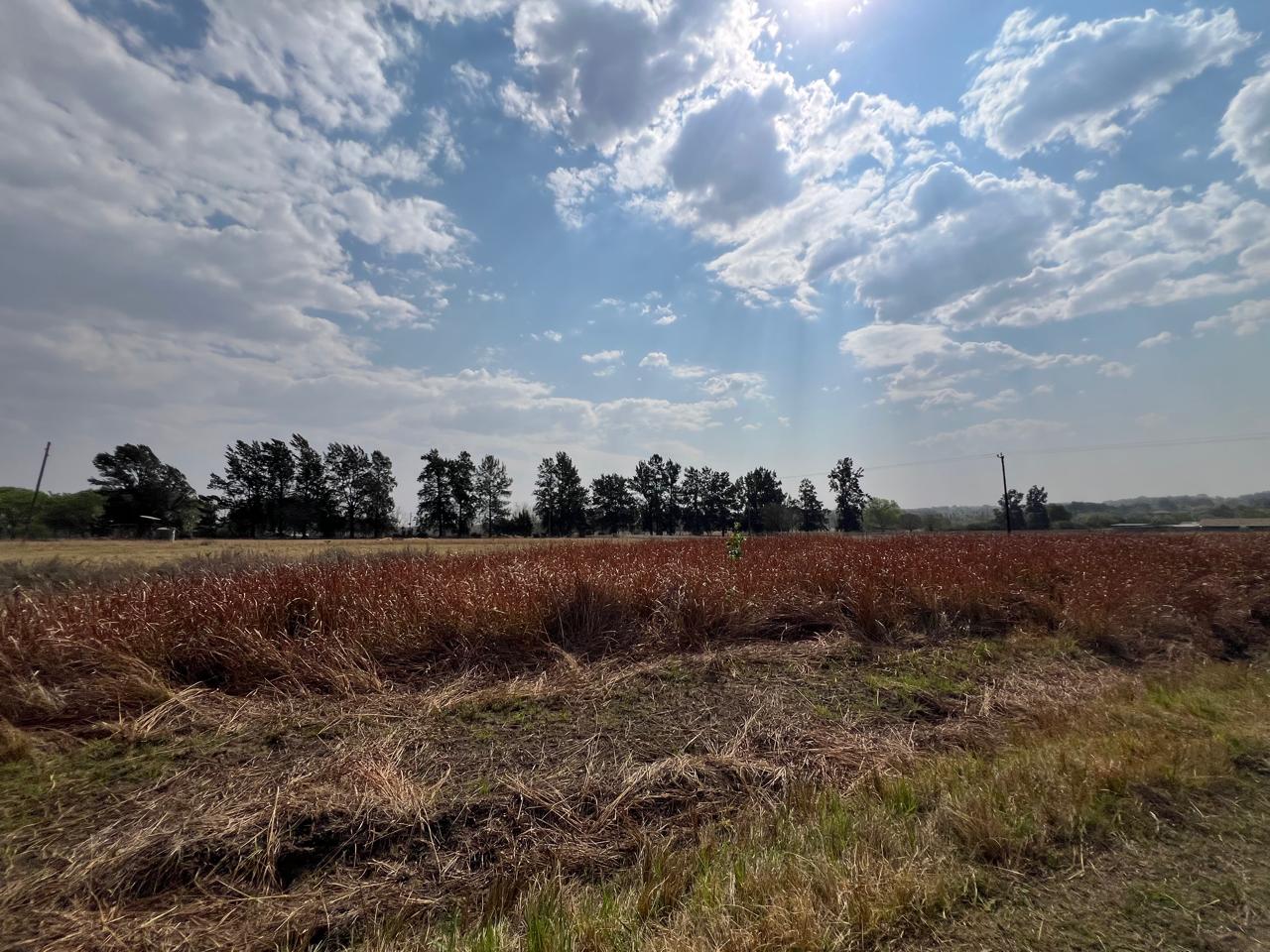 Property 2895242 - Image 3