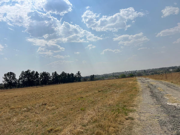 Property 2895242 - Image 7