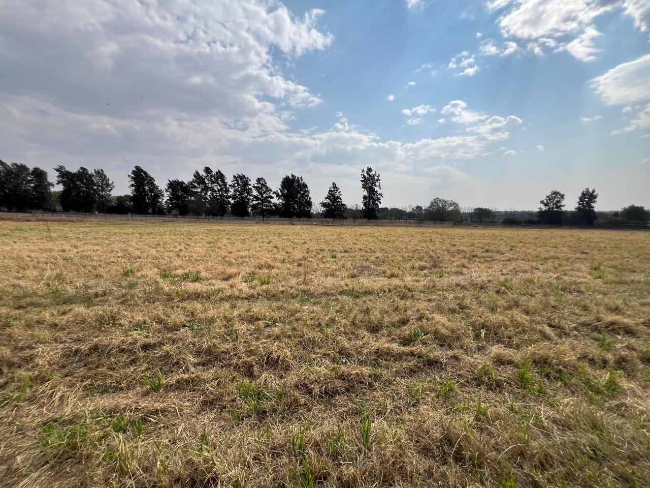 Property 2895242 - Image 8