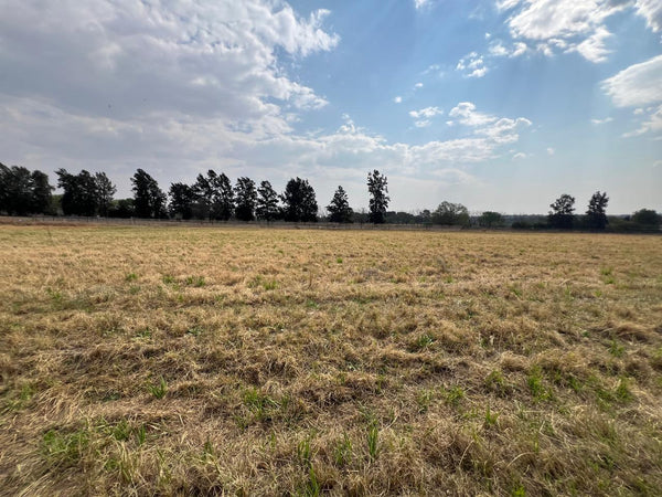 Property 2895242 - Image 8