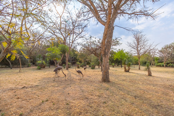 Property 2898556 - Image 38