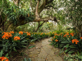 Property 2900021 - Image 1