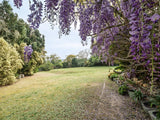 Property 2900021 - Image 10