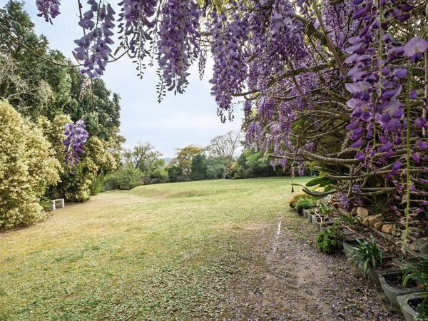 Property 2900021 - Image 10