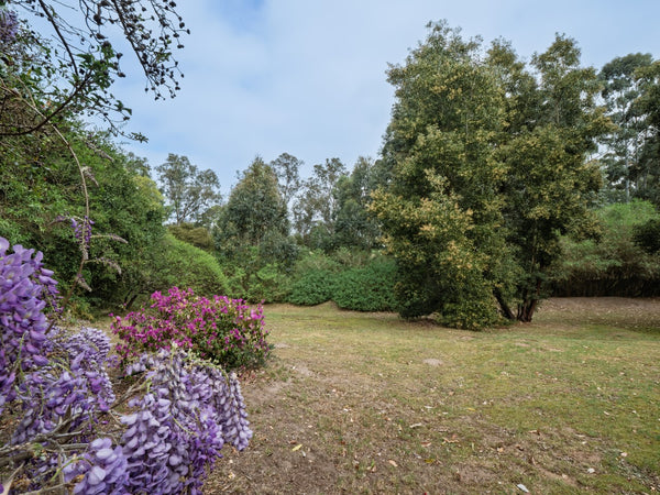 Property 2900021 - Image 13