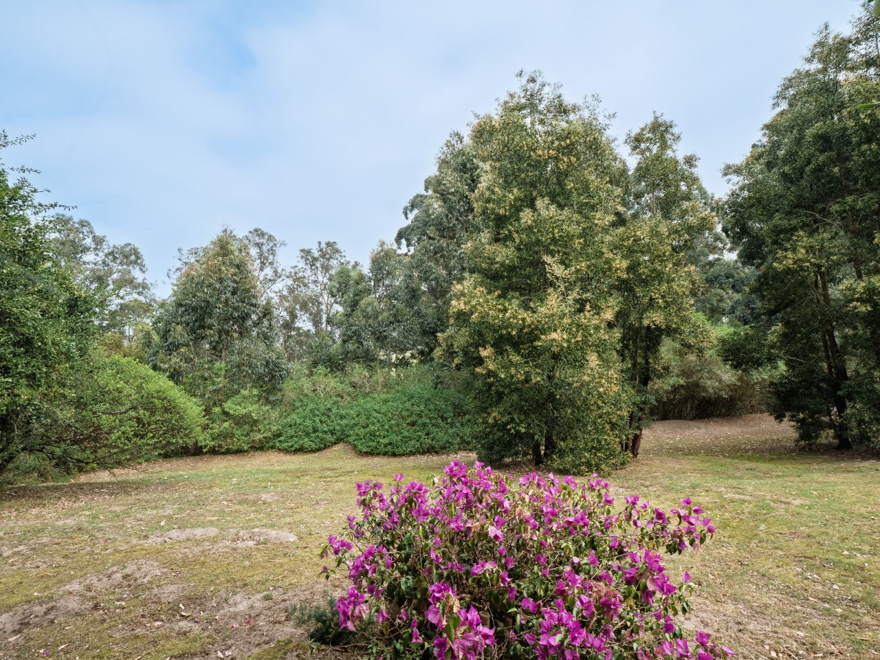 Property 2900021 - Image 15