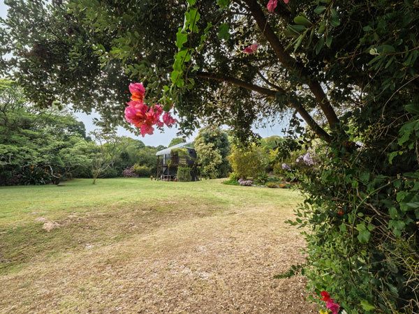 Property 2900021 - Image 16