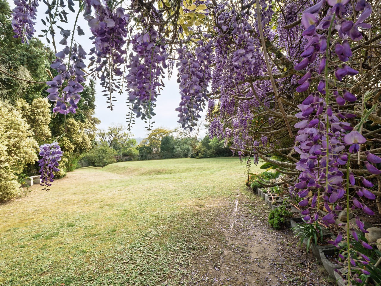 Property 2900021 - Image 17