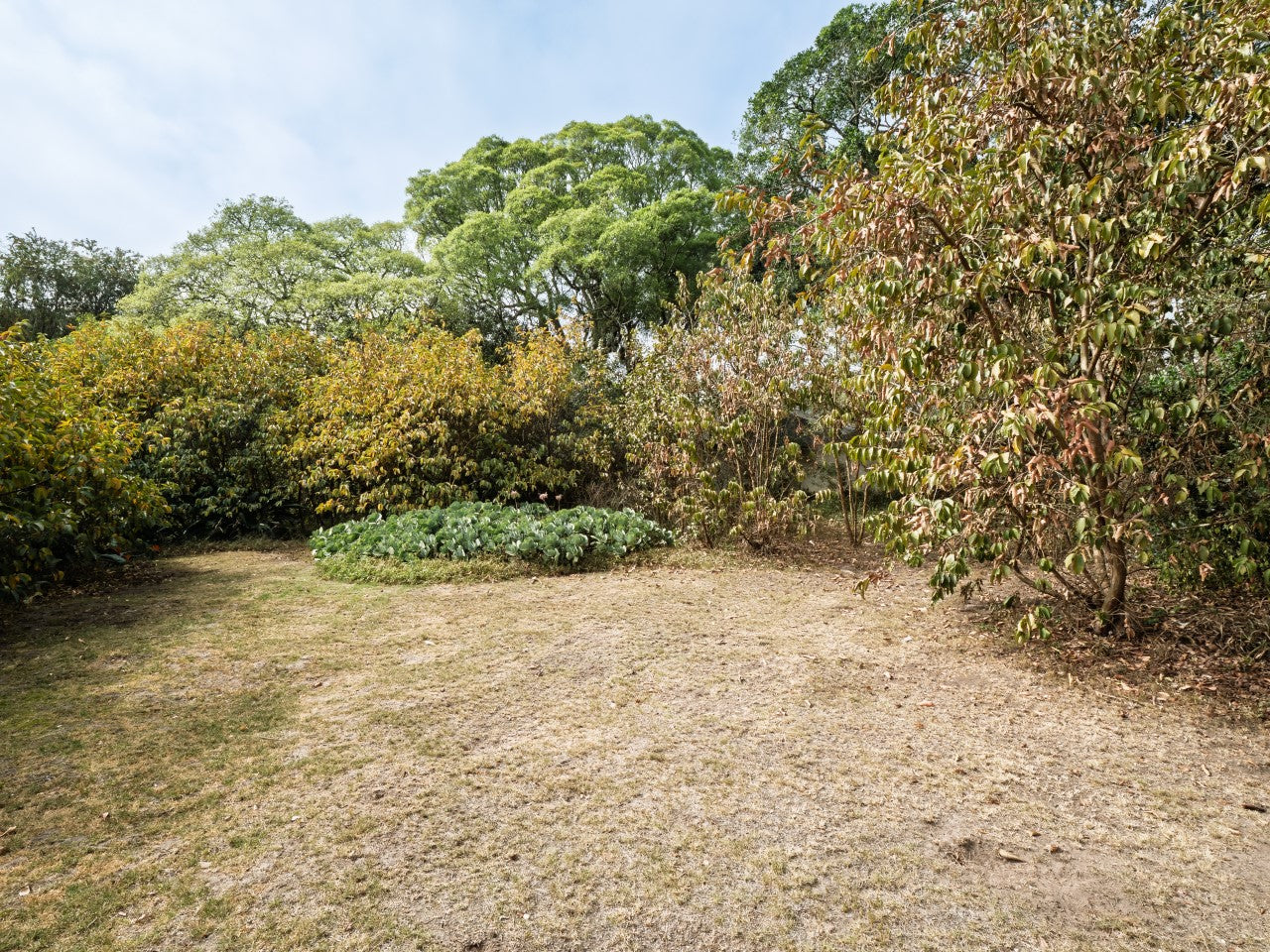 Property 2900021 - Image 18