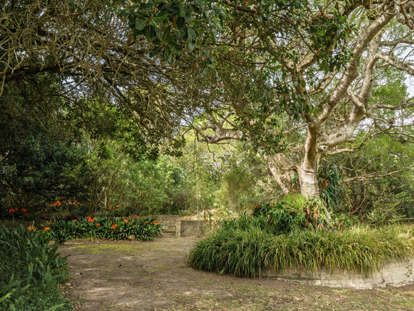 Property 2900021 - Image 19