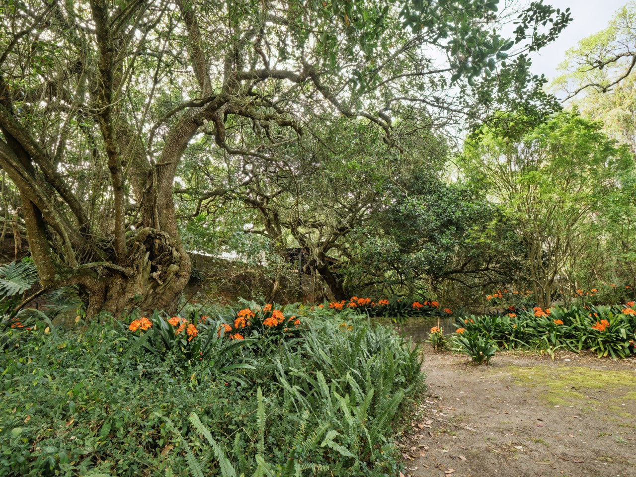 Property 2900021 - Image 20
