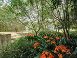 Property 2900021 - Image 22