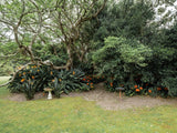 Property 2900021 - Image 25