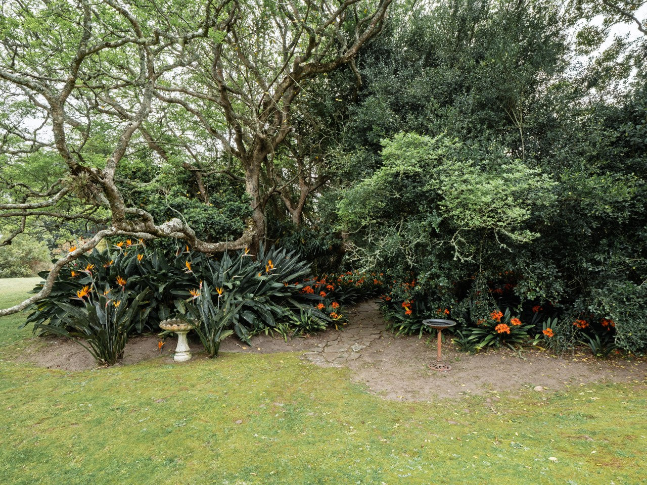 Property 2900021 - Image 25