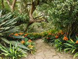 Property 2900021 - Image 26