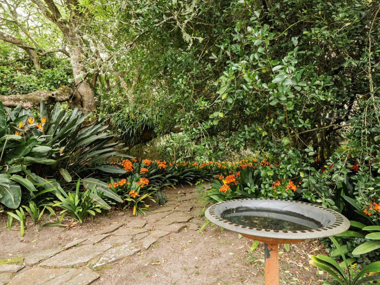 Property 2900021 - Image 27