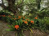 Property 2900021 - Image 31