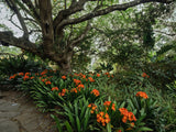 Property 2900021 - Image 32