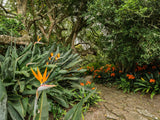 Property 2900021 - Image 33
