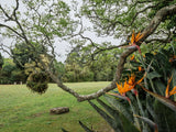 Property 2900021 - Image 34