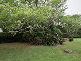 Property 2900021 - Image 35
