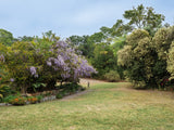 Property 2900021 - Image 36