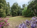 Property 2900021 - Image 39