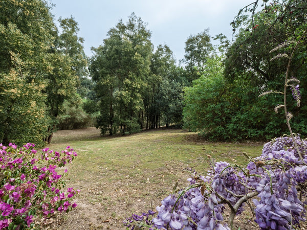 Property 2900021 - Image 39