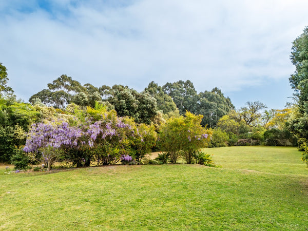 Property 2900021 - Image 49