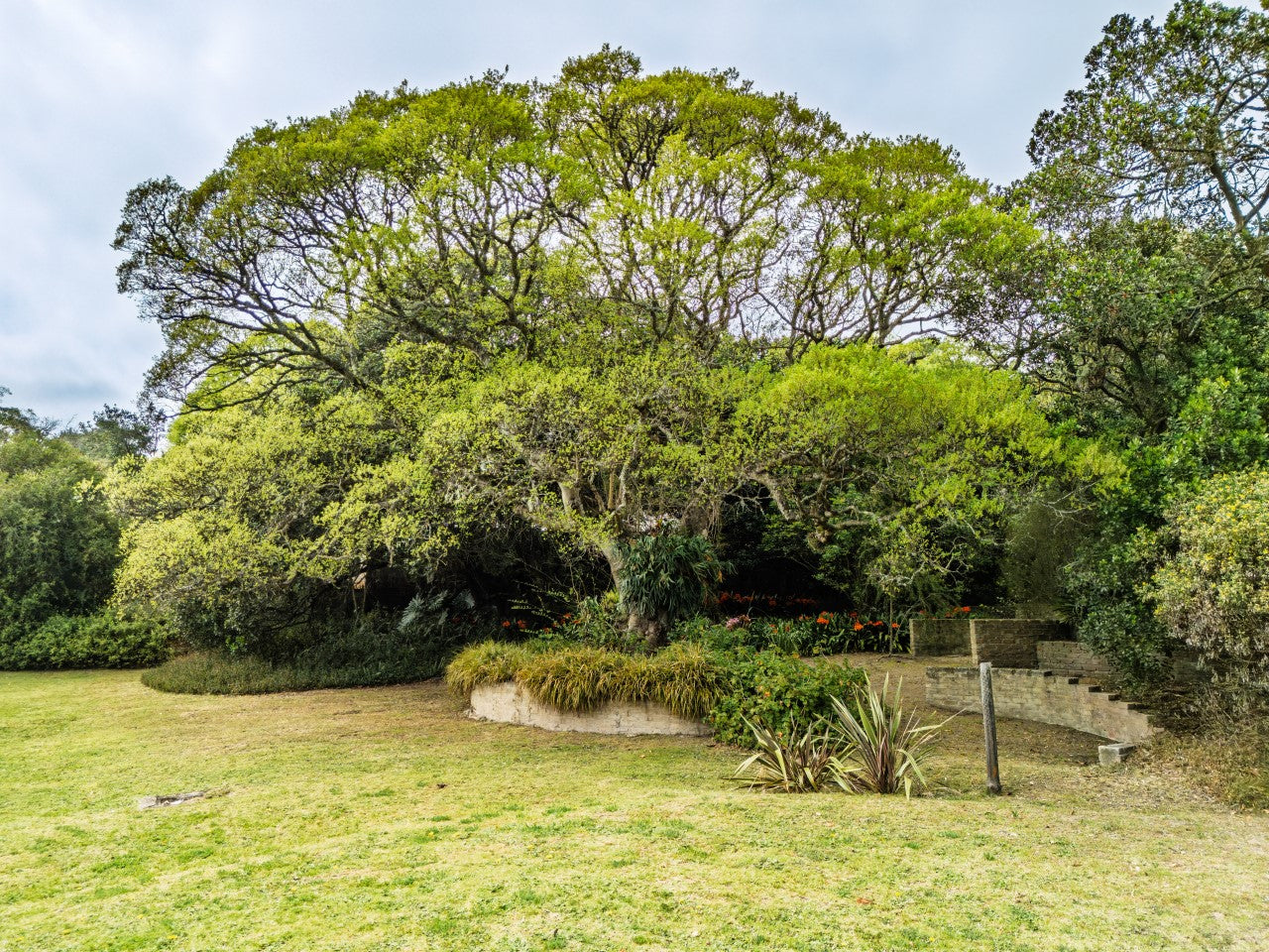 Property 2900021 - Image 5