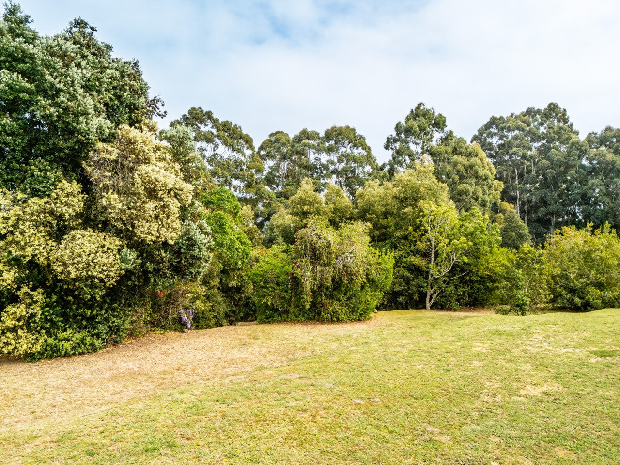 Property 2900021 - Image 50