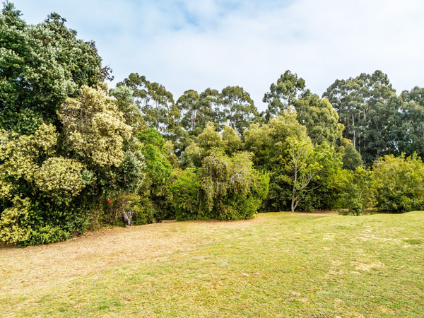 Property 2900021 - Image 50