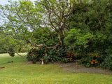 Property 2900021 - Image 51