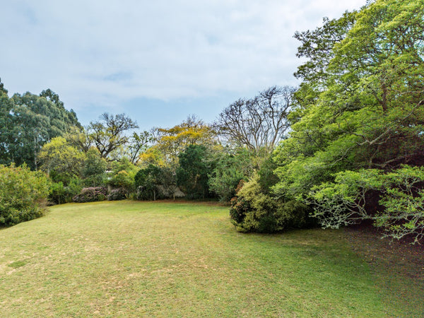 Property 2900021 - Image 52