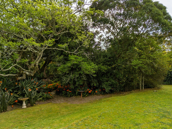Property 2900021 - Image 53