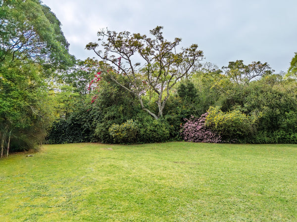 Property 2900021 - Image 54