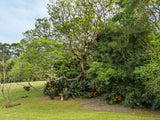 Property 2900021 - Image 57