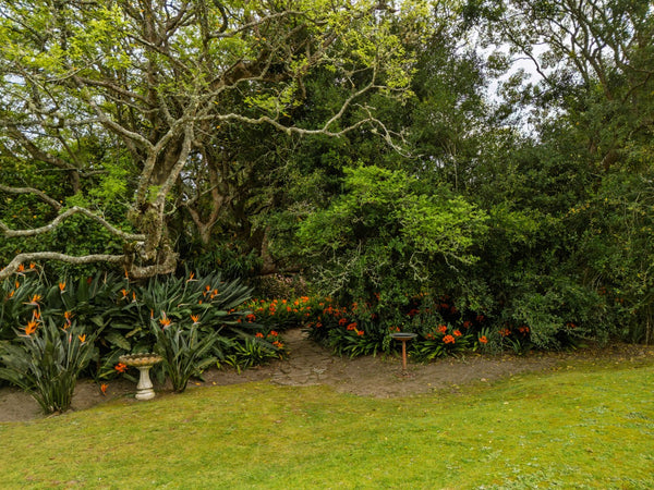 Property 2900021 - Image 58