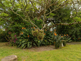 Property 2900021 - Image 59